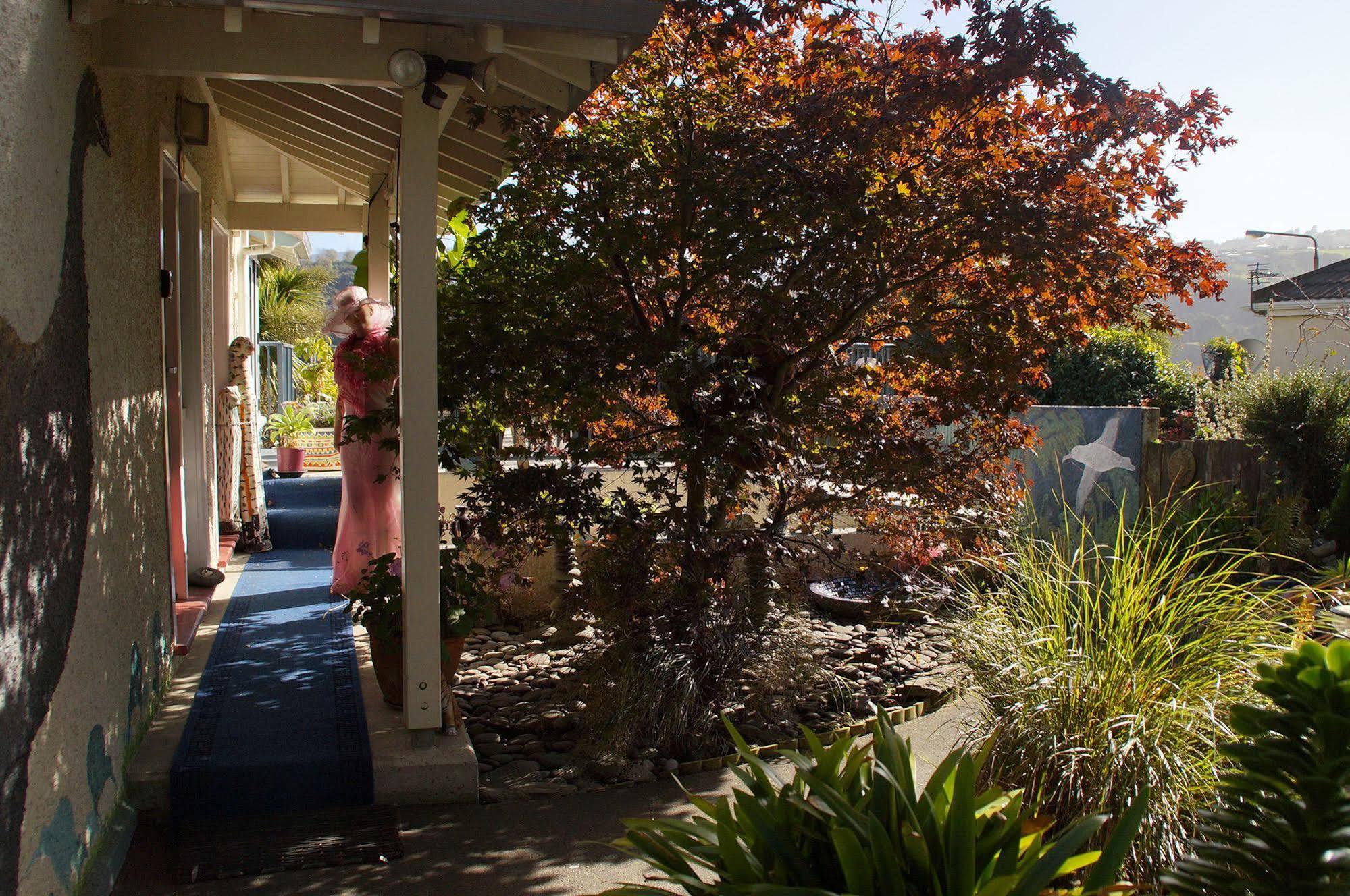 Bed and Breakfast Arden Street House Dunedin Exterior foto
